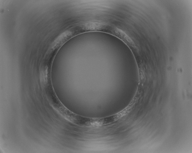 X0000073850163200608101234