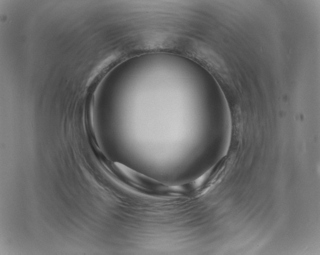 X0000073850164200608101234