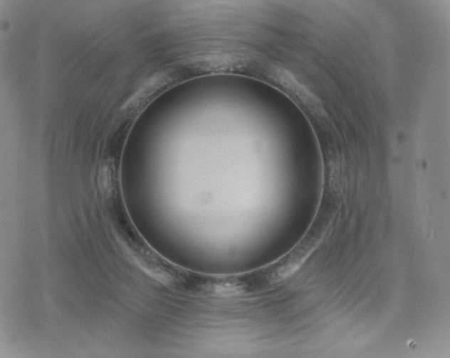 X0000073850165200608101234