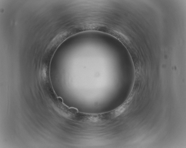 X0000073850166200608101234