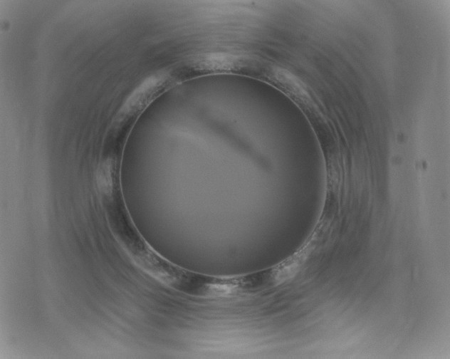 X0000073850167200608101234