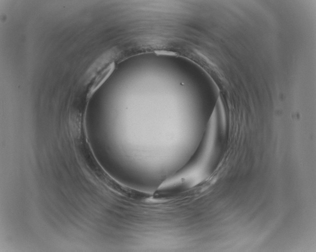 X0000073850168200608101234