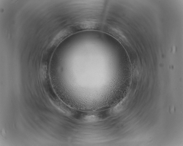 X0000073850171200608101234