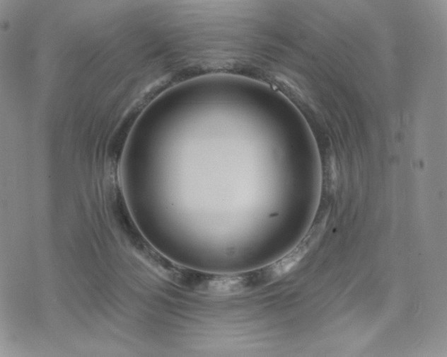 X0000073850172200608101234