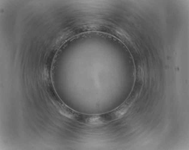 X0000073850173200608101234