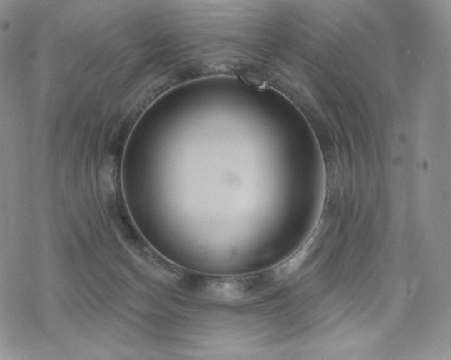 X0000073850174200608101234