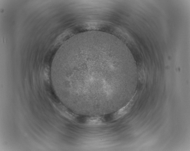 X0000073850175200608101234