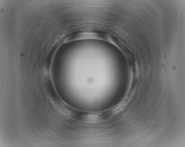 X0000073850176200608101234