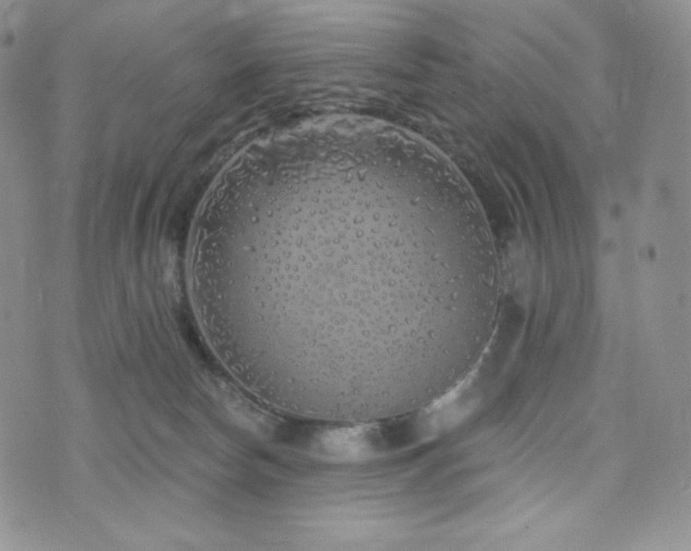 X0000073850178200608101234