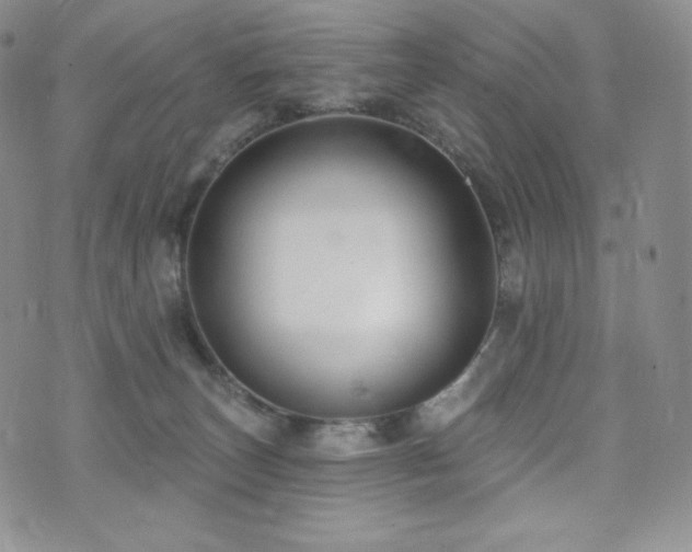 X0000073850179200608101234