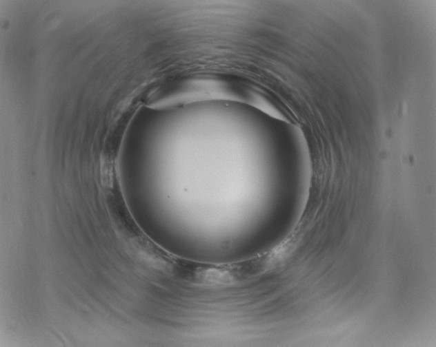 X0000073850180200608101234