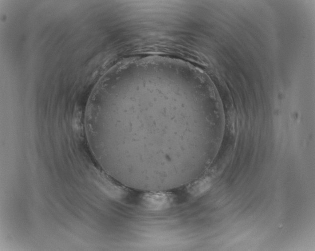 X0000073850181200608101234