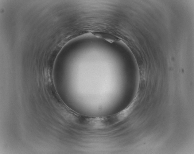 X0000073850182200608101234