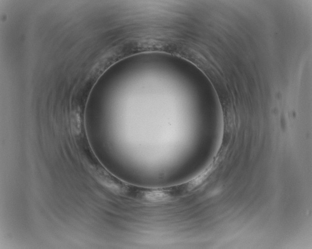 X0000073850183200608101234