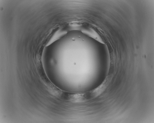 X0000073850184200608101234