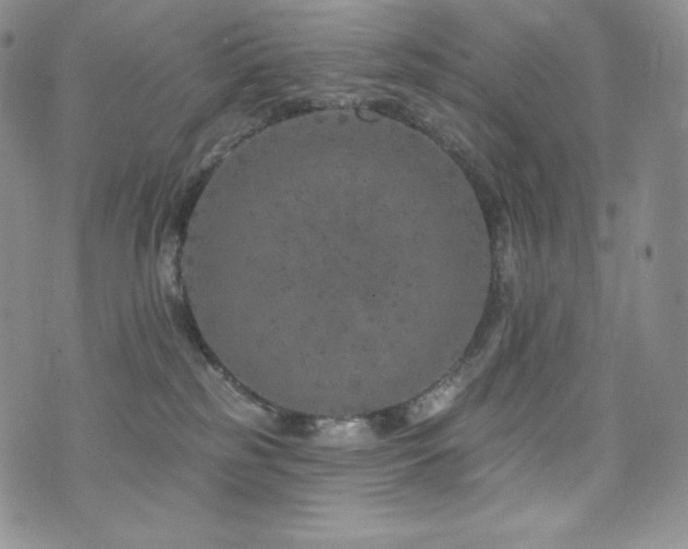 X0000073850185200608101234