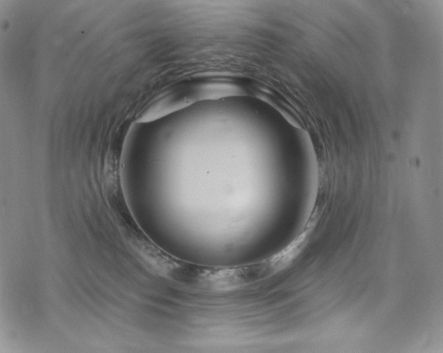 X0000073850186200608101234