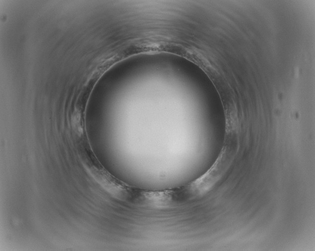 X0000073850187200608101234