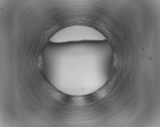 X0000073850189200608101234