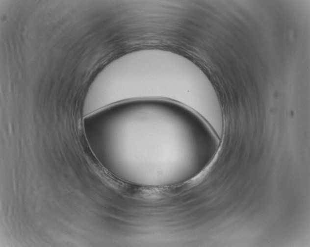 X0000073850190200608101234