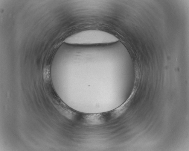 X0000073850191200608101234