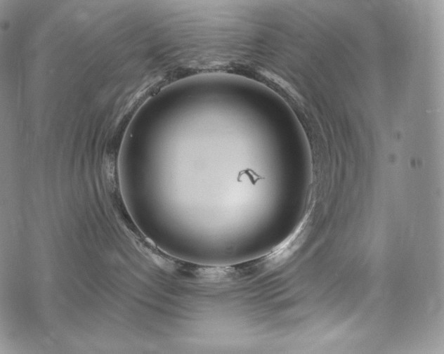 X0000073850192200608101234