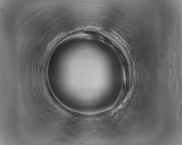 X0000073850193200608101234