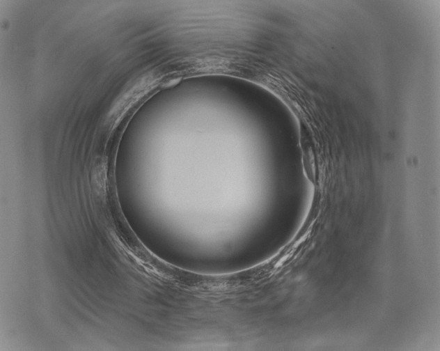 X0000073850194200608101234