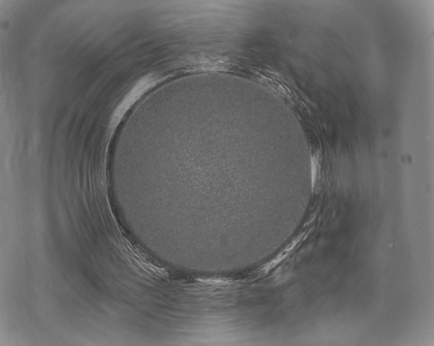 X0000073850195200608101234