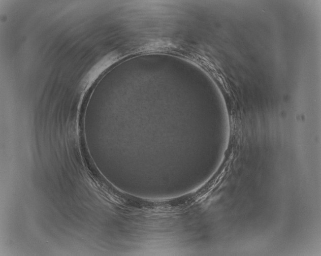 X0000073850196200608101234