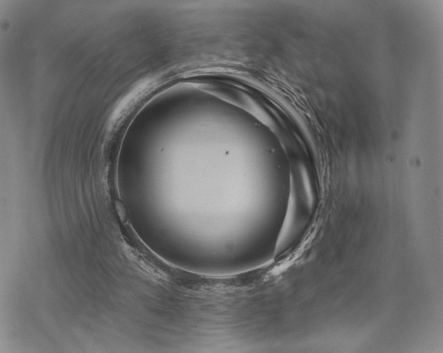 X0000073850197200608101234