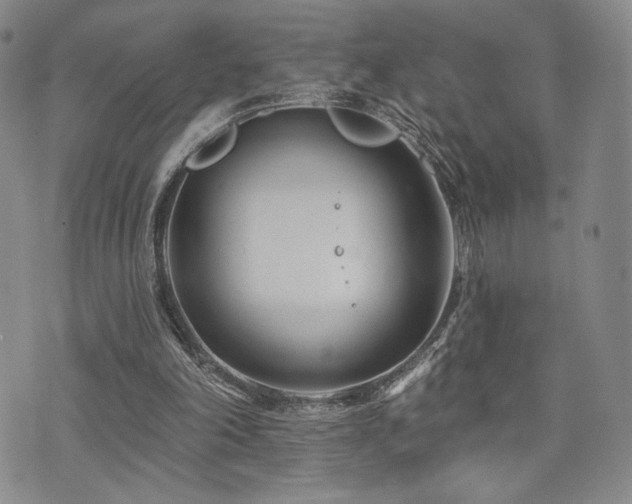 X0000073850198200608101234