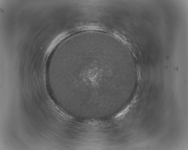 X0000073850199200608101234