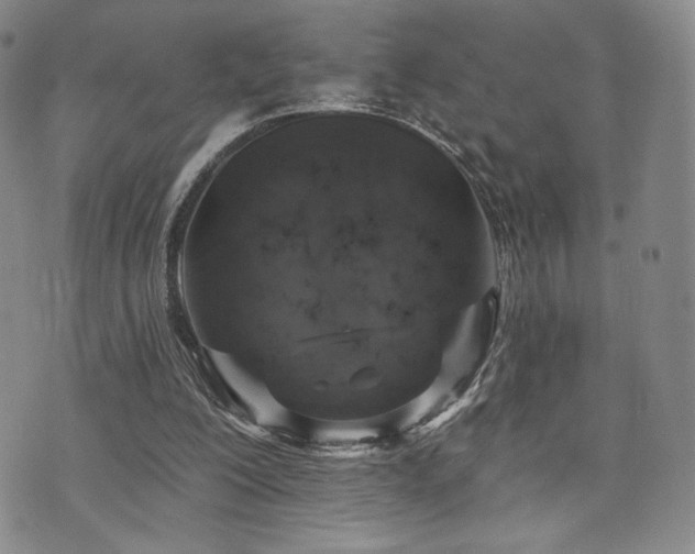 X0000073850200200608101234