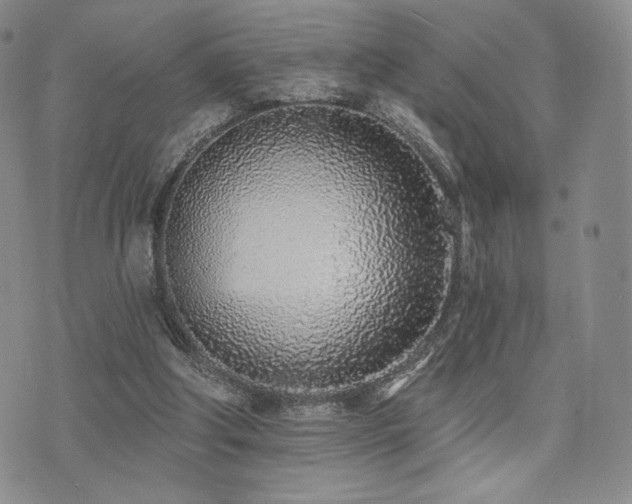 X0000073850202200608101234