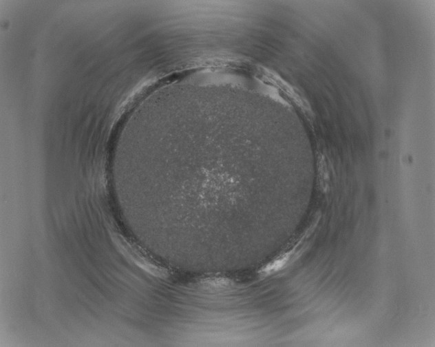 X0000073850203200608101234