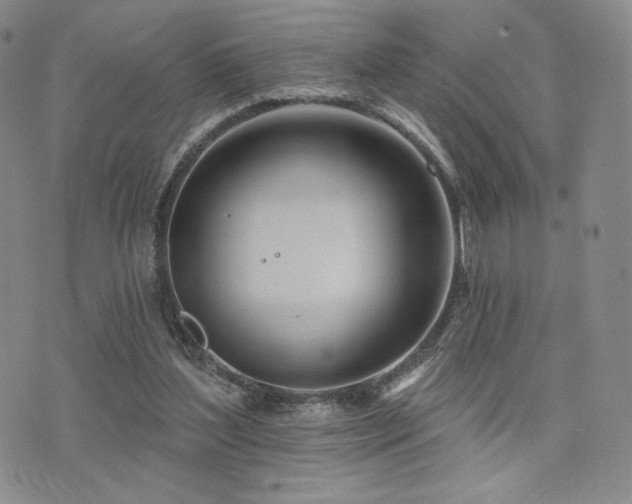 X0000073850204200608101234