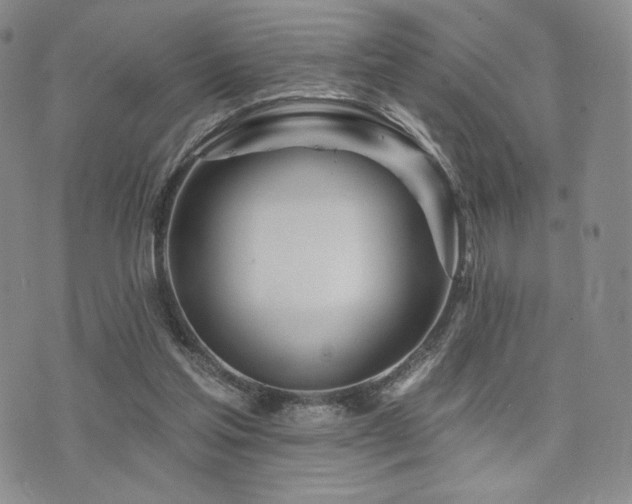 X0000073850205200608101234