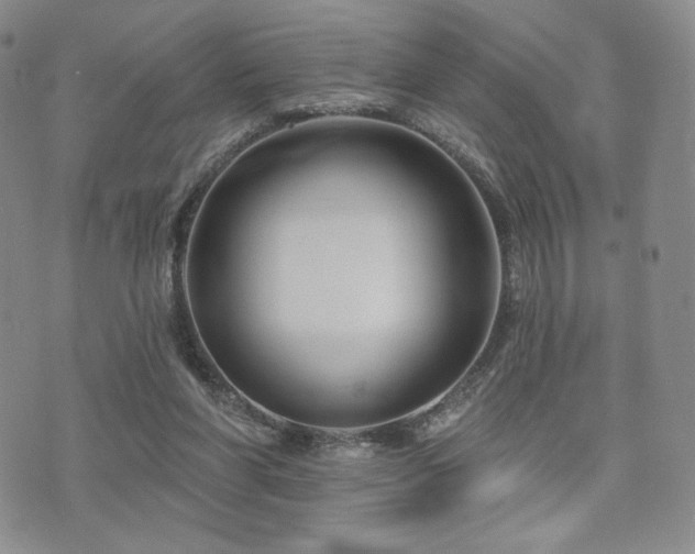 X0000073850206200608101233