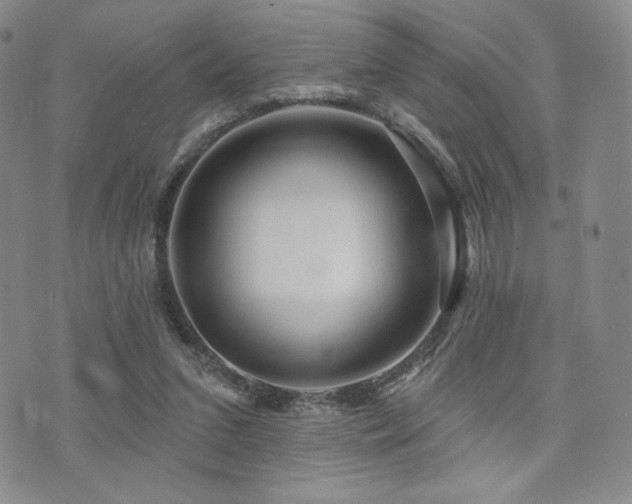 X0000073850207200608101233