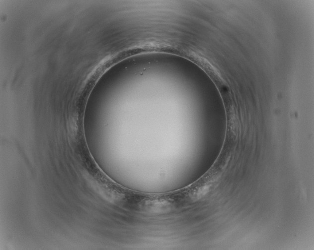 X0000073850208200608101233