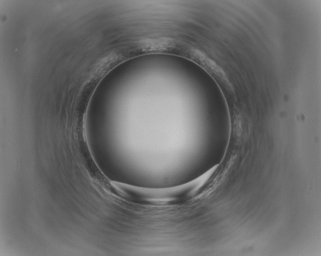 X0000073850209200608101233