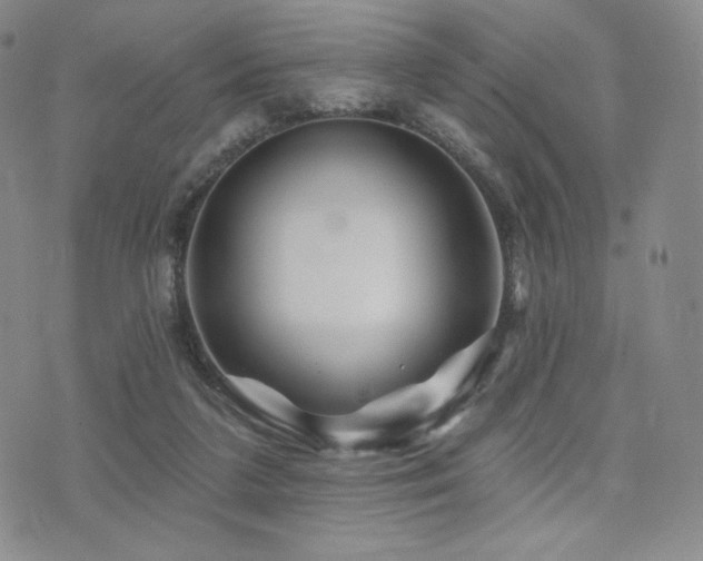 X0000073850211200608101233