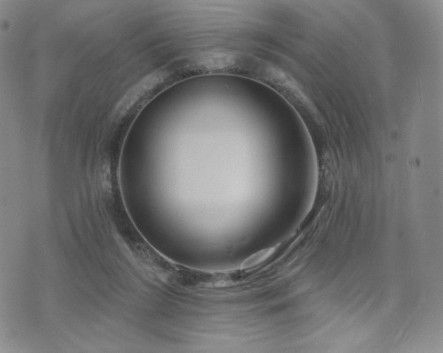 X0000073850212200608101233