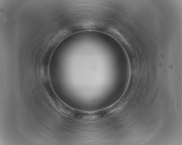 X0000073850213200608101233