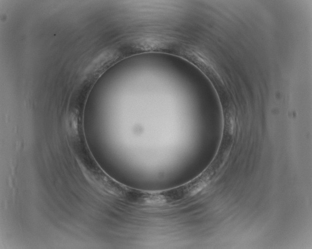 X0000073850214200608101233