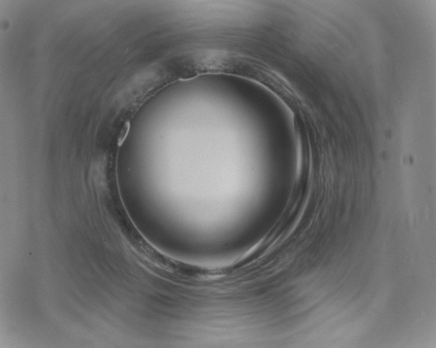 X0000073850217200608101233