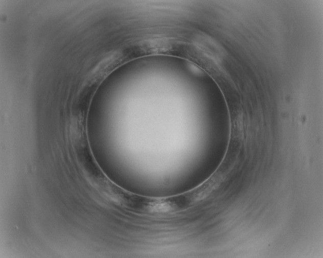 X0000073850218200608101233