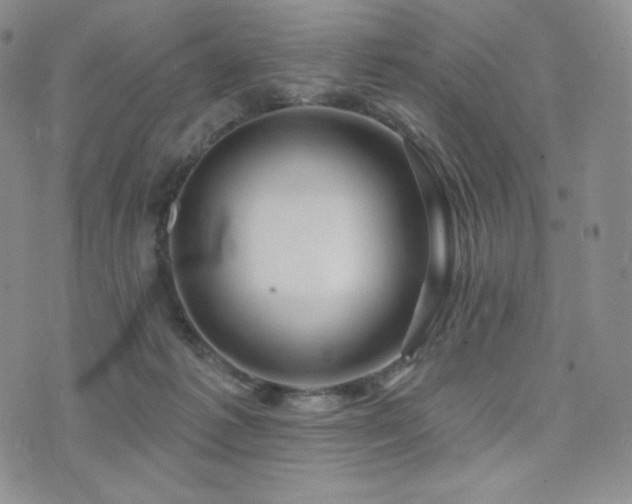 X0000073850221200608101233