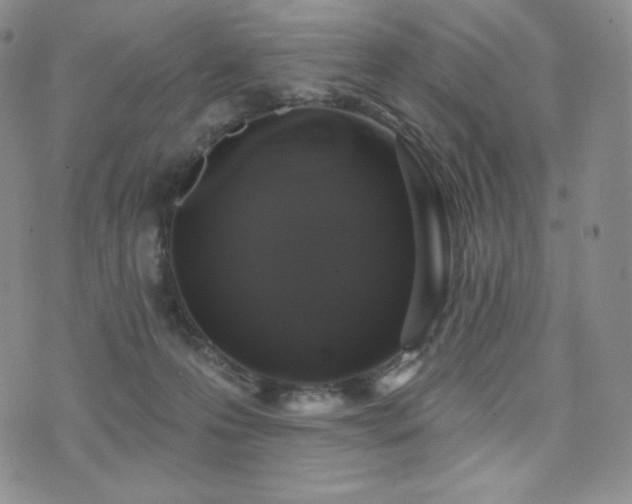 X0000073850223200608101233